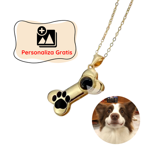 Collar de Proyección Personalizada