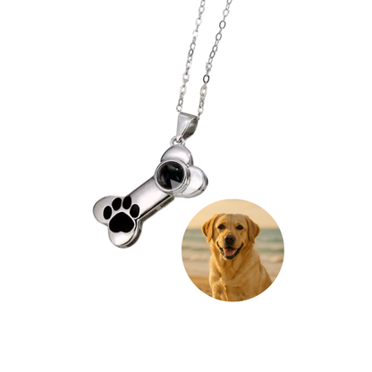 Collar de Proyección Personalizada