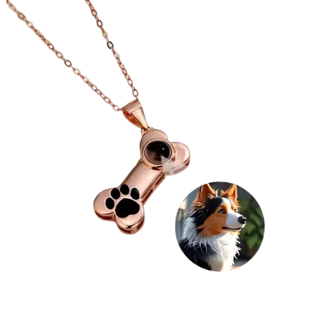 Collar de Proyección Personalizada