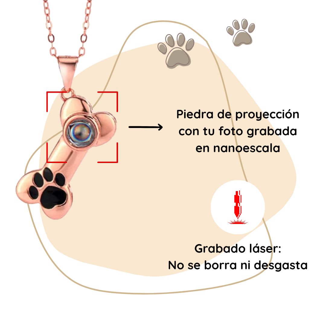 Collar de Proyección Personalizada