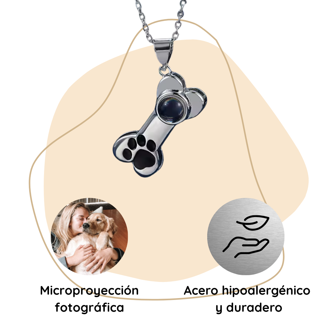 Collar de Proyección Personalizada